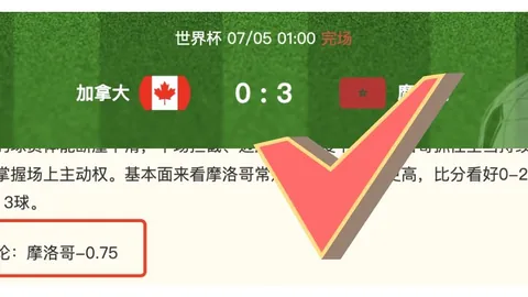越南联攻略深度解析：热门赛事战绩一览